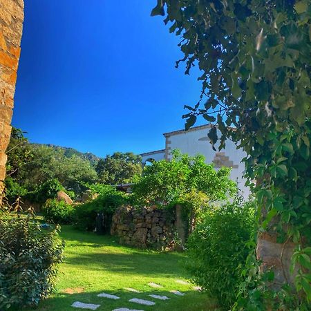 Agriturismo Casteddu Padru Luaran gambar