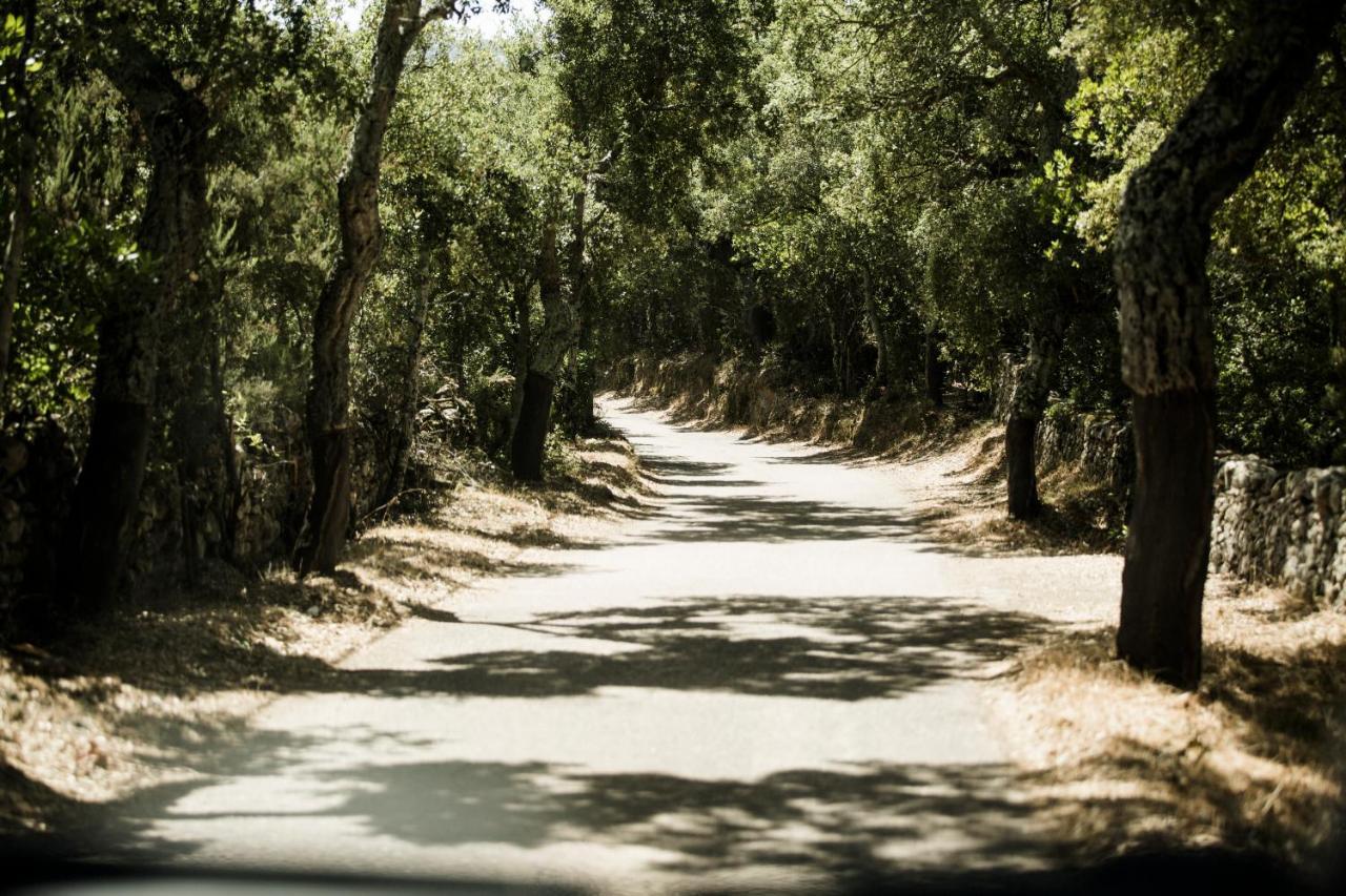 Agriturismo Casteddu Padru Luaran gambar
