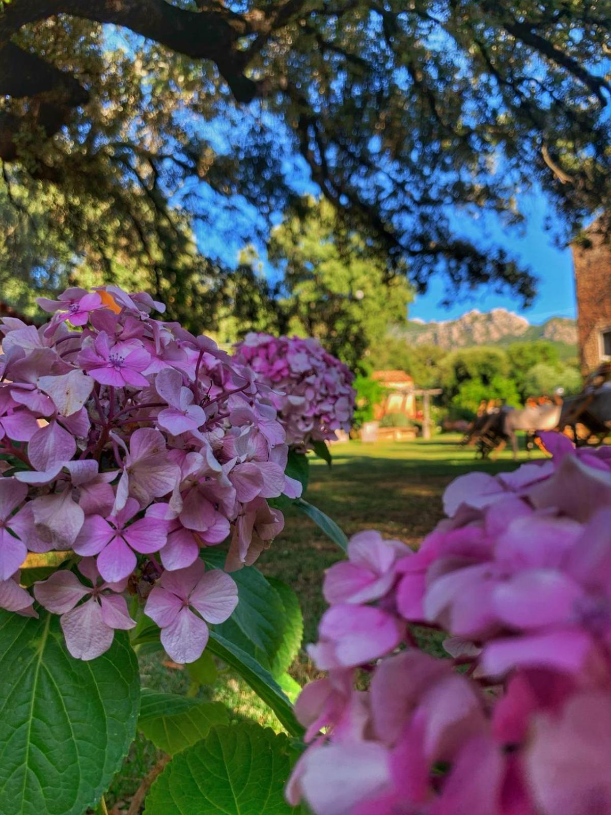 Agriturismo Casteddu Padru Luaran gambar