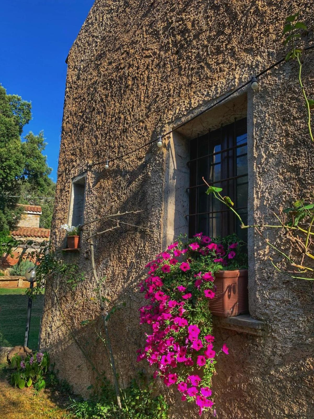 Agriturismo Casteddu Padru Luaran gambar