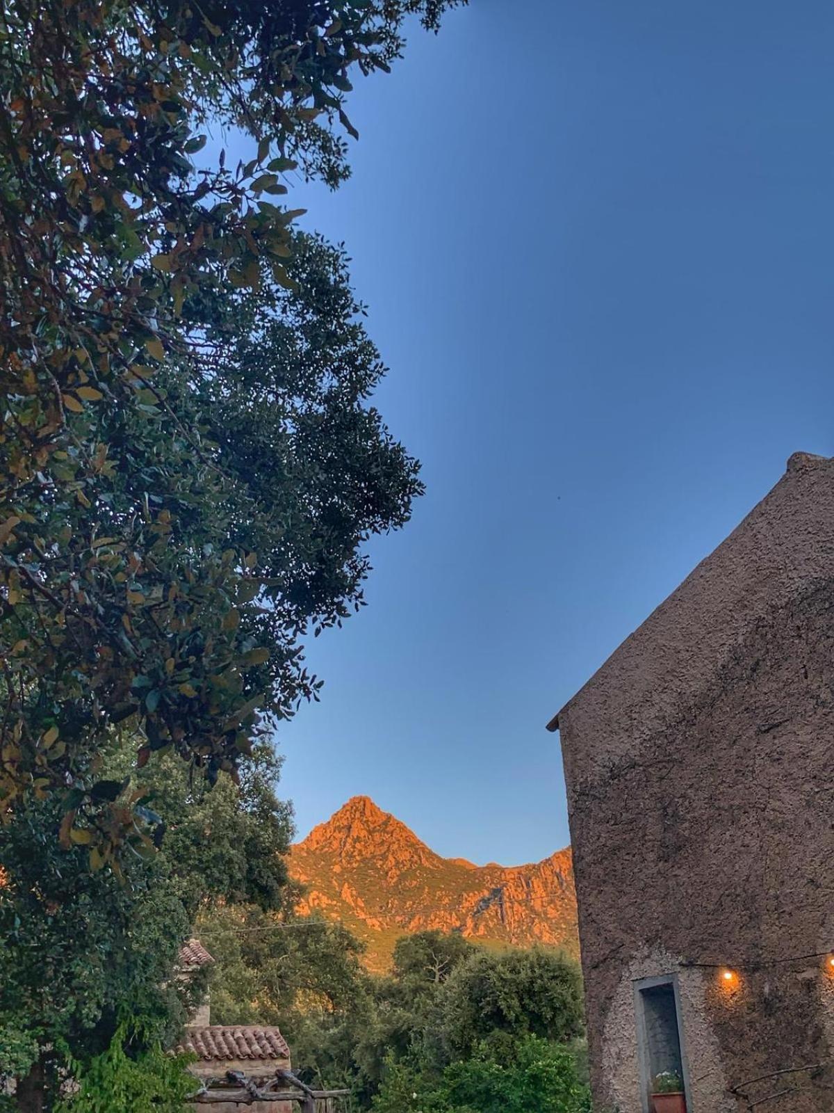 Agriturismo Casteddu Padru Luaran gambar