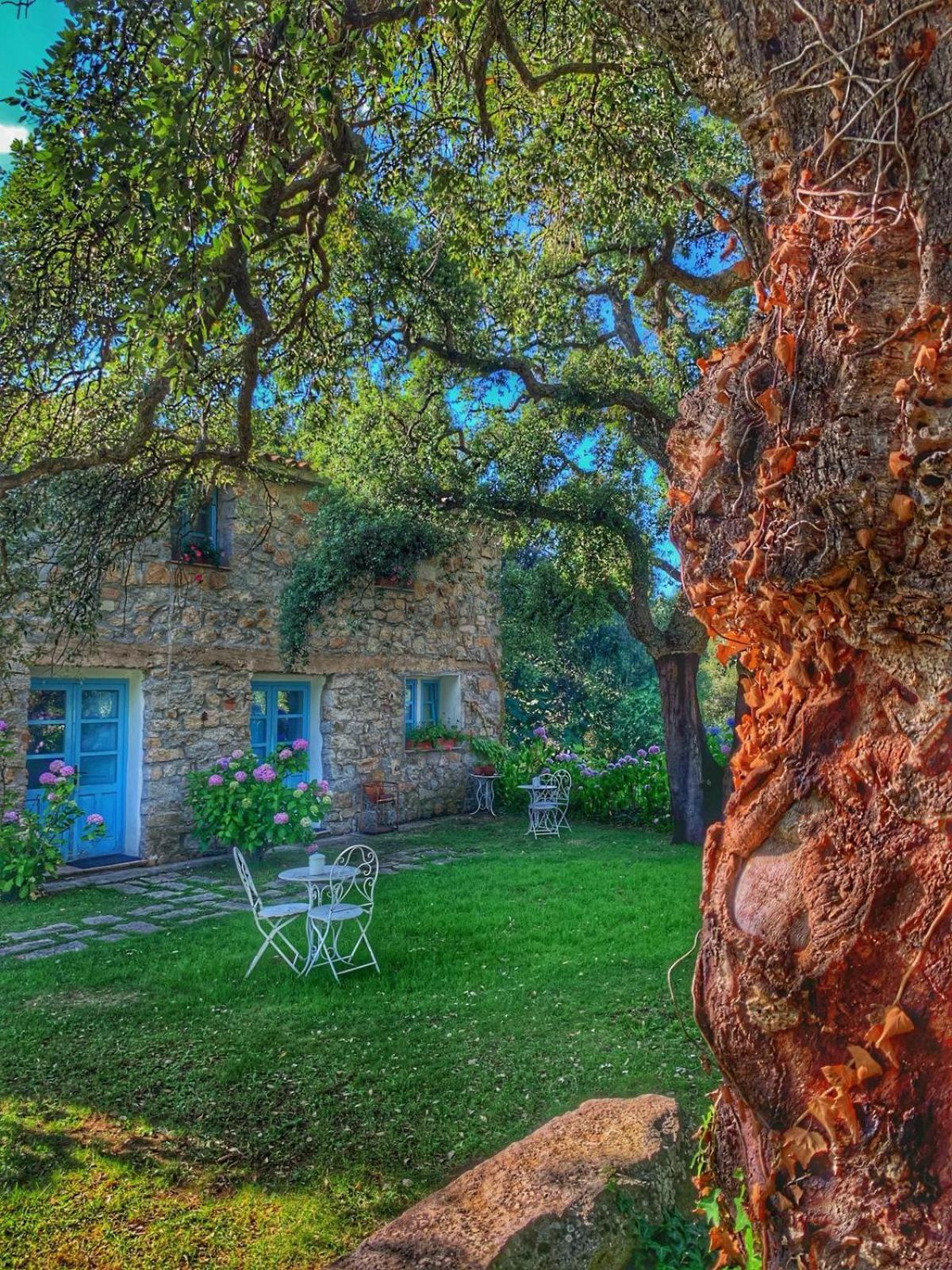 Agriturismo Casteddu Padru Luaran gambar